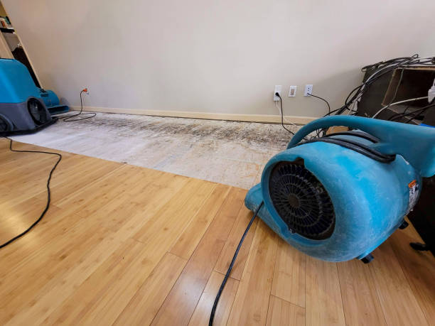 Professional Burst Pipe Water Damage technician working in Calais, ME